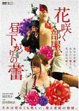 英国电影铁轨以北数字修复版画面